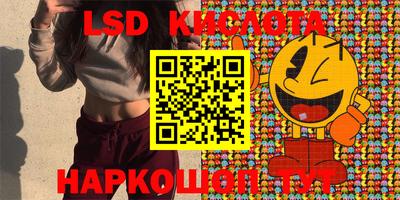 стафф Гусев
