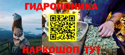 стафф Гусев