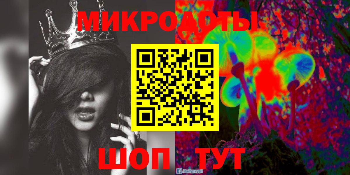 Псилоцибиновые грибы Cubensis Гусиноозёрск