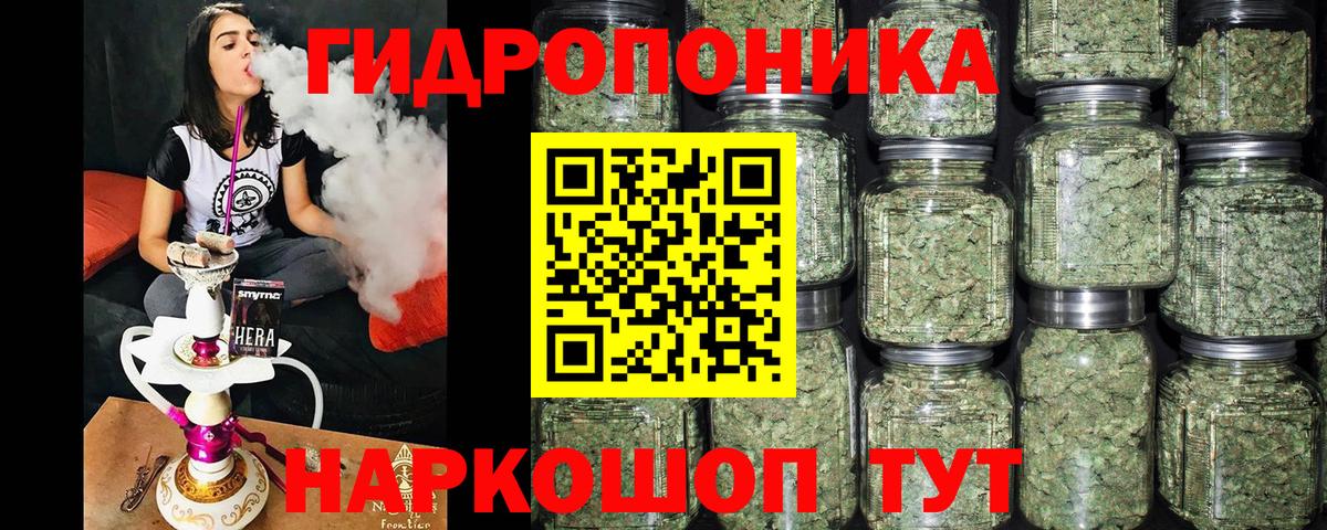 Бошки марихуана Bruce Banner  Конопля White Widow  Шишки марихуана Amnesia  Гусиноозёрск  Бошки Шишки LSD WEED  Вход с VPN 
